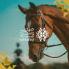 Horse Riding at Summer Gathering